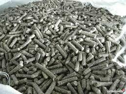 Alpha Cargo Sp. z o.o.