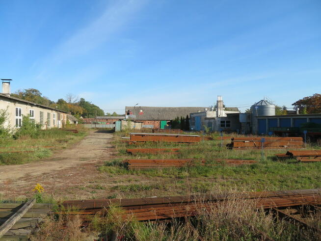 Syndyk PPH Taborex sp. z o.o. sprzeda zapasy magazynowe