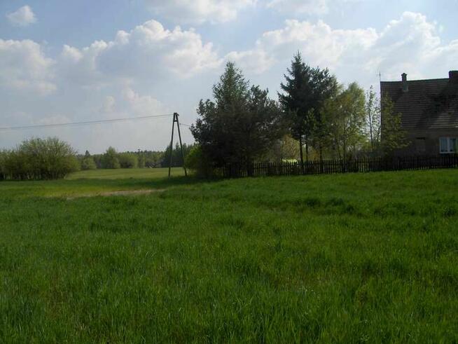 Duża działka na 2 domy, nad jeziorem, 35 km od Poznania