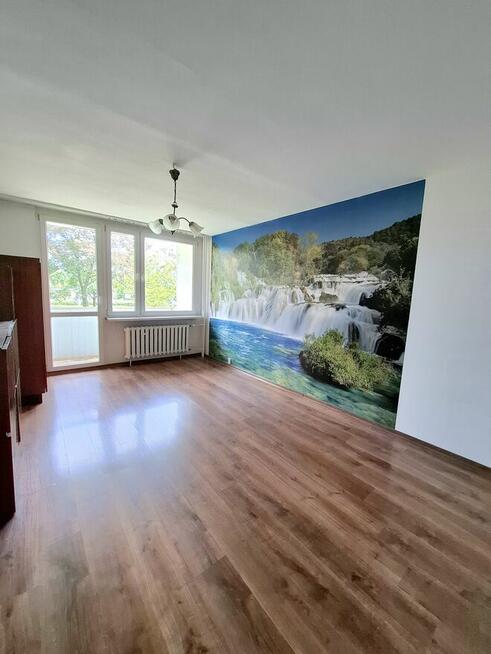 Tysiąclecie, Armii Krajowej