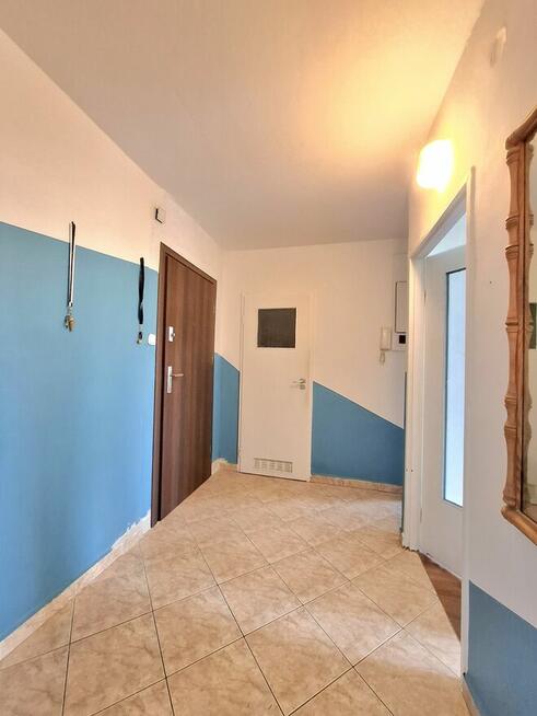 Tysiąclecie, Armii Krajowej