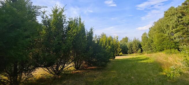 Dom jednorodzinny 146m2 + działka inwestycyjna