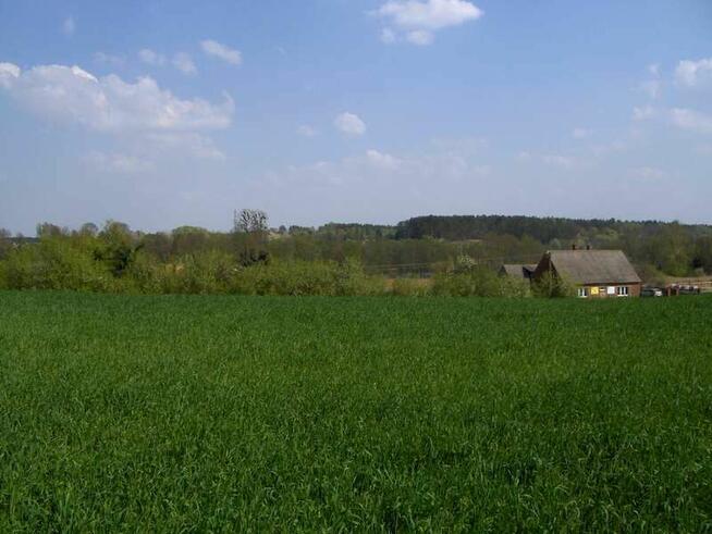 Duża działka na 2 domy, nad jeziorem, 35 km od Poznania
