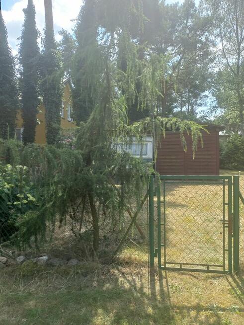 Sprzedam stacjonarna przyczepe Wilk