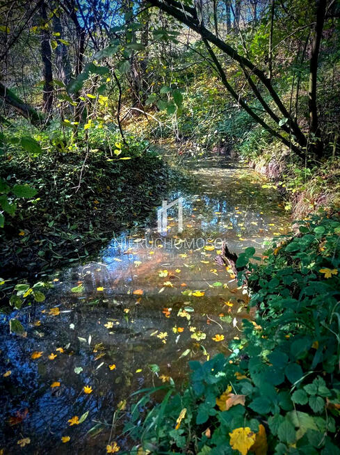 Działka budowlana Żółków gm. Jasło