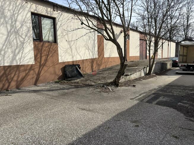 Lokal użytkowy Pińczów, 3-go Maja