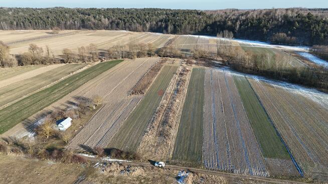 Działka rolna Nawodzice gm. Klimontów, Nawodzice