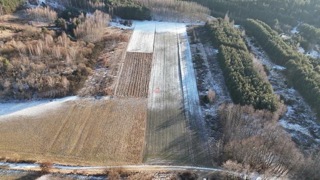 Działka rolna Nawodzice gm. Klimontów, Nawodzice