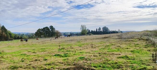 Działka budowlana Szemudzka Huta gm. Szemud, Przejazdowa