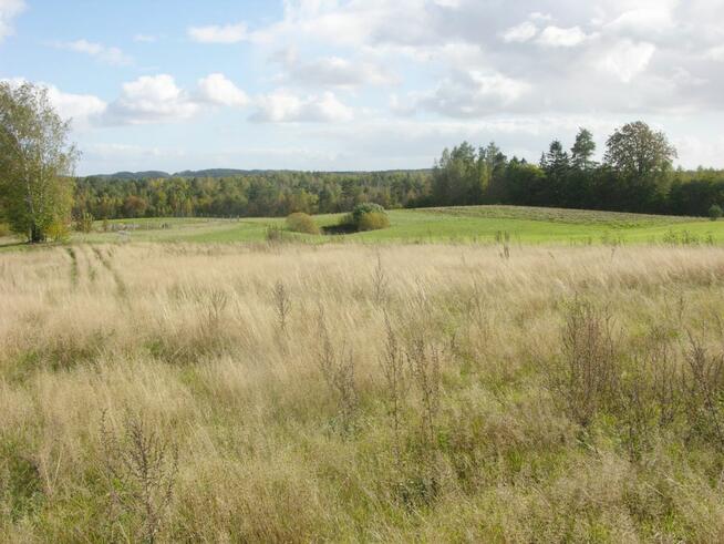 Działka budowlana Szemudzka Huta gm. Szemud, Przejazdowa
