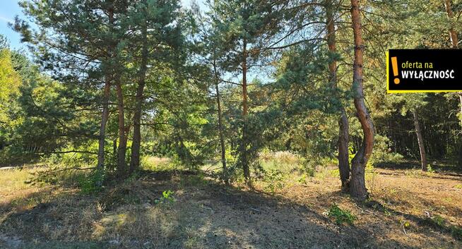 Działka rolna Strzegomek gm. Rytwiany,