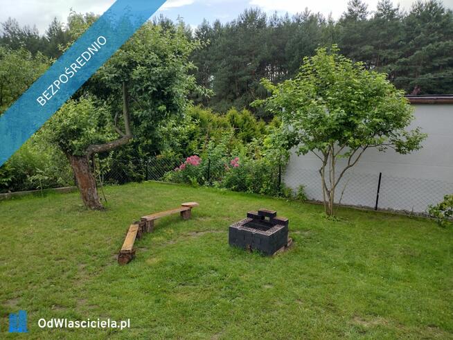 Działka ROD z domkiem 2025 – Aleksandrów Kujawski rower