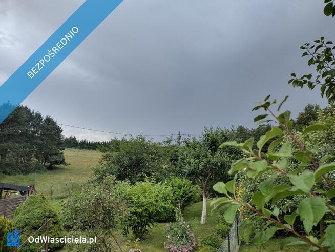 Działka ROD z domkiem 2025 – Aleksandrów Kujawski rower