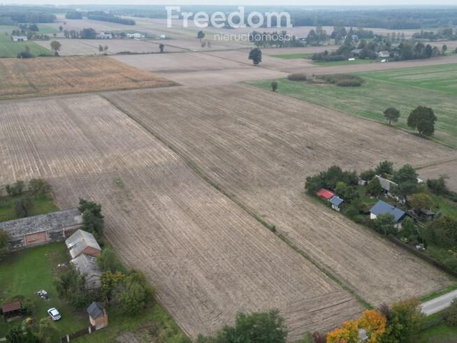 Śniadówka – piękne siedlisko do adaptacji