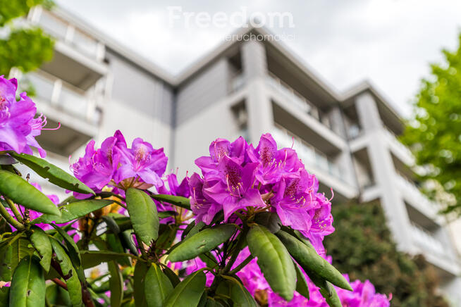 Gotowe do wprowadzenia, garderoba, klimatyzacja