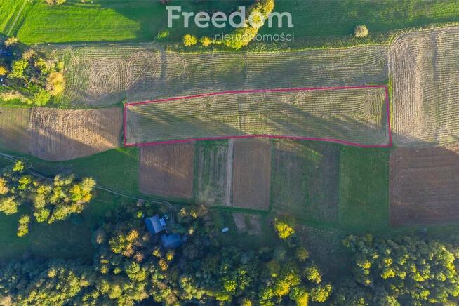 51,4a, 3 działki z WZ, widokowe