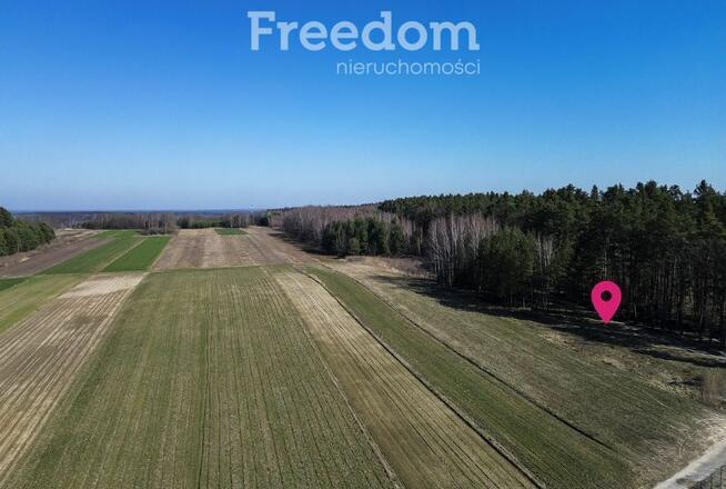 Działka leśna 58,95 ar – Łętownia, gm.Nowa Sarzyna