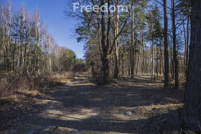 Działka leśna 58,95 ar – Łętownia, gm.Nowa Sarzyna