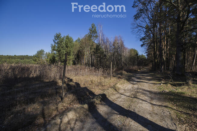 Działka leśna 58,95 ar – Łętownia, gm.Nowa Sarzyna