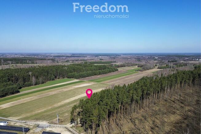 Działka leśna 58,95 ar – Łętownia, gm.Nowa Sarzyna