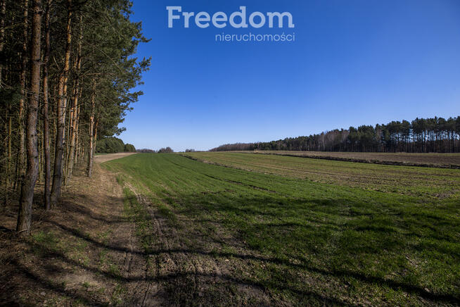 Działka leśna 58,95 ar – Łętownia, gm.Nowa Sarzyna