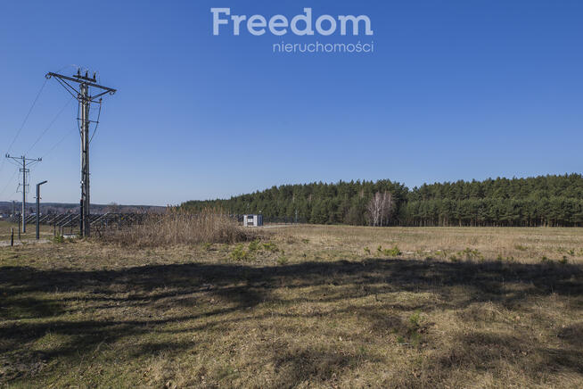 Działka leśna 58,95 ar – Łętownia, gm.Nowa Sarzyna