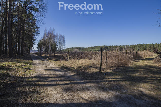 Działka leśna 58,95 ar – Łętownia, gm.Nowa Sarzyna