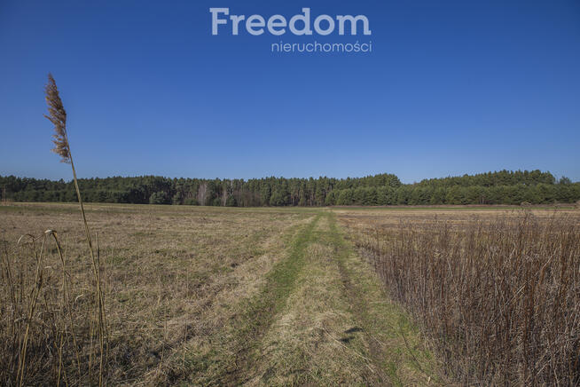 Działka leśna 58,95 ar – Łętownia, gm.Nowa Sarzyna