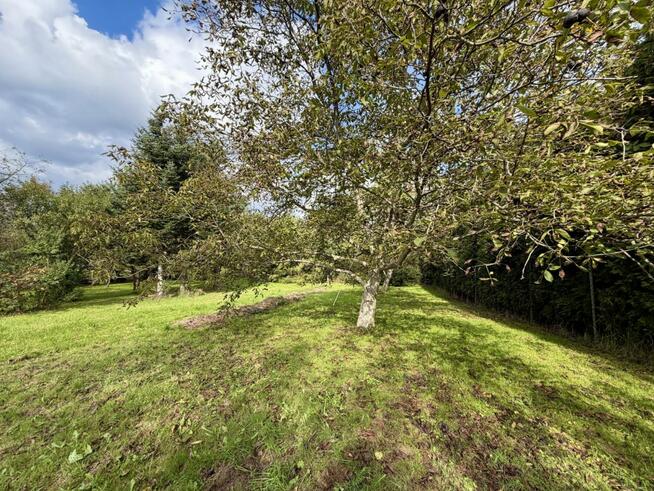 Działka inwestycyjna Wieliczka, Widok