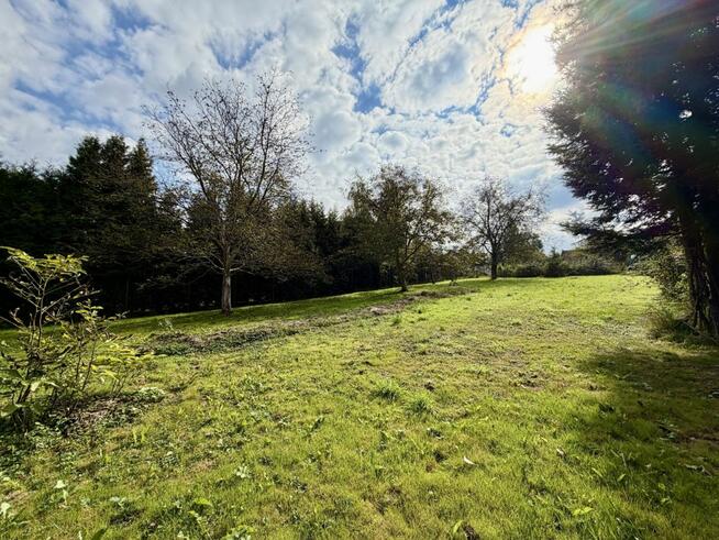 Działka inwestycyjna Wieliczka, Widok