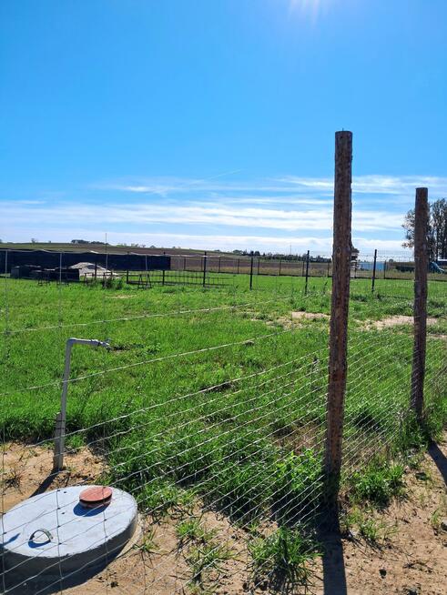 Działka budowlana Łekno gm. Wągrowiec