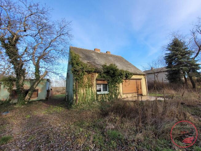 Wyjątkowy dom do remontu na dużej działce w Piechcinie – Twoje miejsce na ziemi!