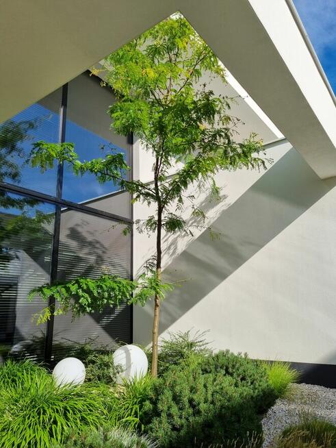 Projektowanie ogrodów, zakładanie ogrodów, tarasy z drewna