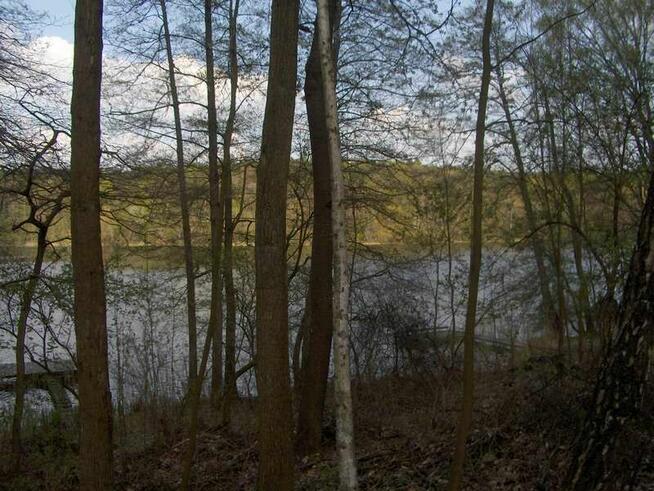 Duża działka na 2 domy, nad jeziorem, 35 km od Poznania