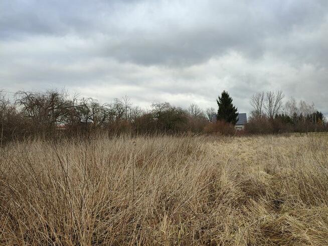 Sprzedam działkę w Ulesiu 16 arów