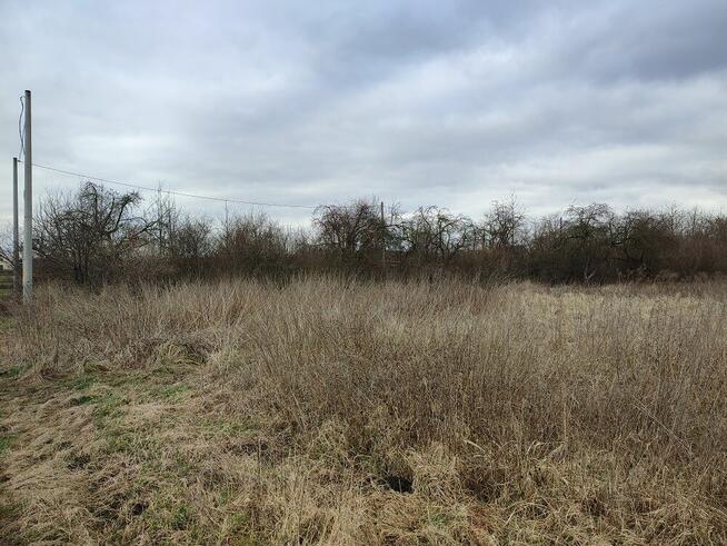 Sprzedam działkę w Ulesiu 16 arów