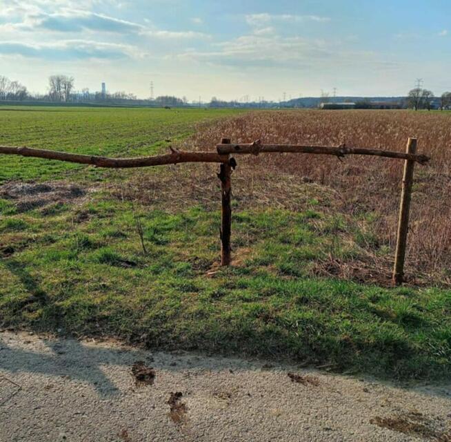 Działka rolna 55arów---- TANIO -----