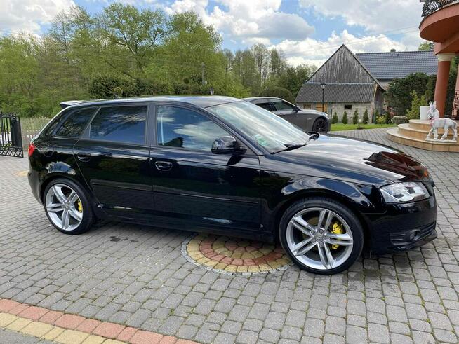 Audi A3 8P 2.0 TDI CR