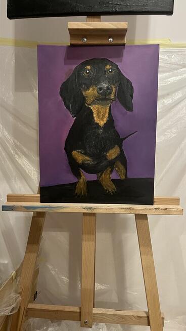 Obraz - Jamnik Puzon. Psy.Obraz olejny 30/40 cm z ramą