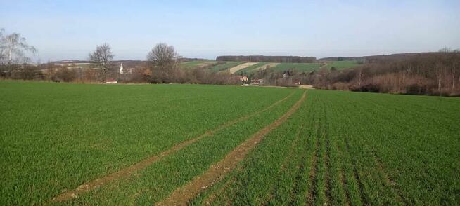 Działka rolna Pomocne gm. Męcinka,