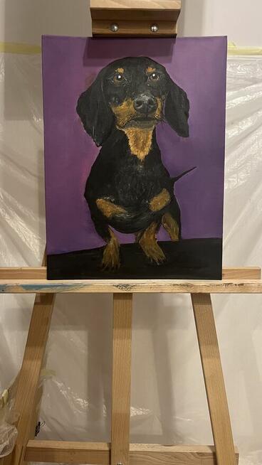 Obraz - Jamnik Puzon. Psy.Obraz olejny 30/40 cm z ramą