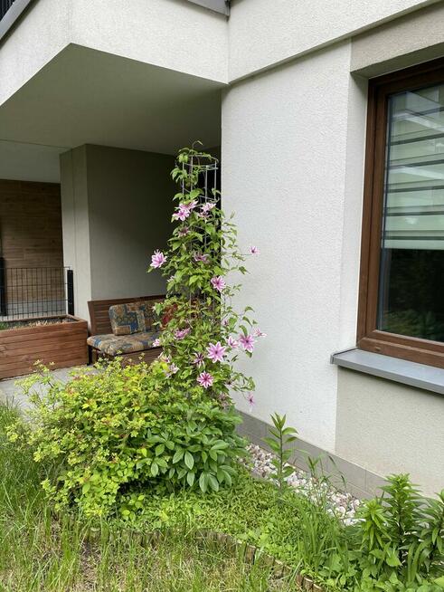 SPRZEDAM BEZPOŚREDNIO 3-POKOJOWE Z OGRÓDKIEM