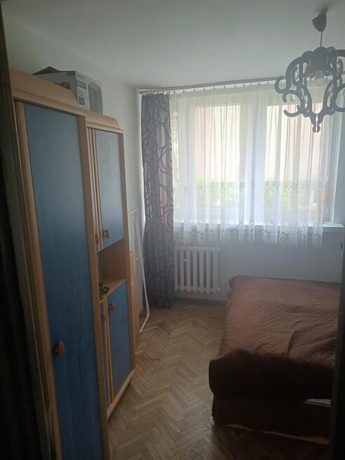 Mieszkanie na wynajem