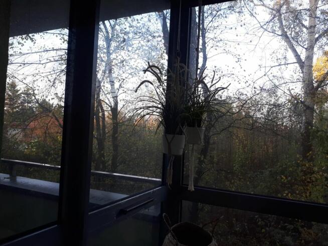 Mieszkanie 42m na wynajem OD LISTOPADA 3300zł JUŻ Z CZYNSZEM