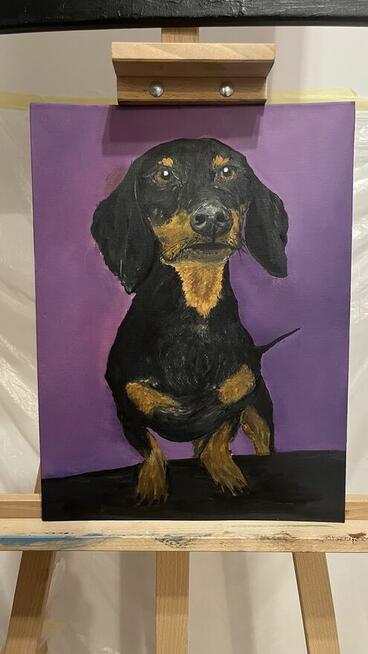 Obraz - Jamnik Puzon. Psy.Obraz olejny 30/40 cm z ramą