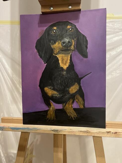 Obraz - Jamnik Puzon. Psy.Obraz olejny 30/40 cm z ramą