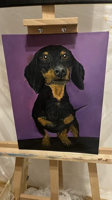 Obraz - Jamnik Puzon. Psy.Obraz olejny 30/40 cm z ramą