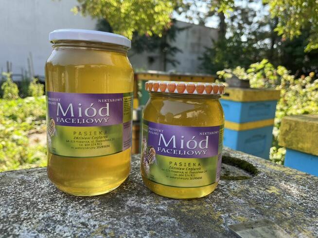 Miód chabrowy bławatkowy faceliowy 1kg