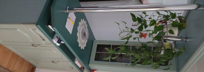 Meble kuchenne z witryną