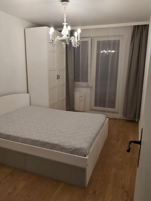 Mieszkanie 42m na wynajem OD LISTOPADA 3300zł JUŻ Z CZYNSZEM